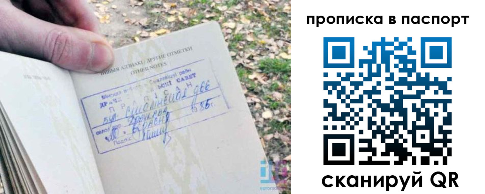 купить прописку в Николаевске-на-Амуре